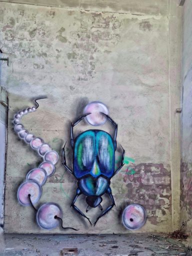 Mistkäfer mit Perlen Graffiti-Darstellung eines blau-glänzenden Käfers neben einer Tentakel auf einer rauen Wand.